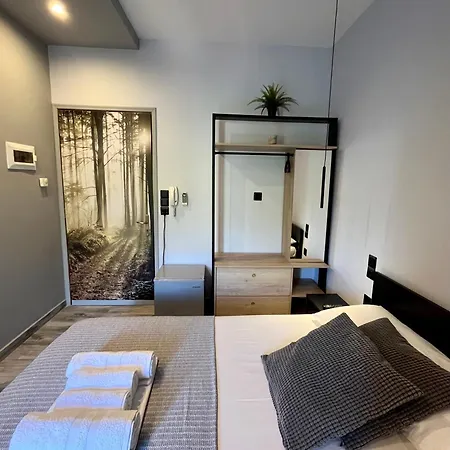 Oihalia's Petit Double Apartment Avlonarion